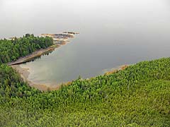 Tongass Forest