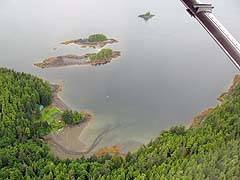 Tongass Forest