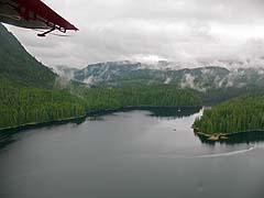Tongass Forest