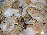 Tiger prawns not quite ''16-20'' size