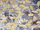 Thin dough circles shaped into shells